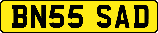 BN55SAD