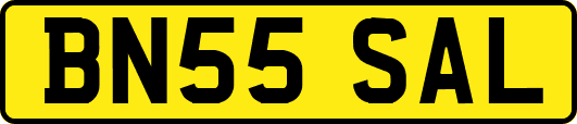 BN55SAL