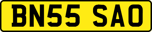 BN55SAO