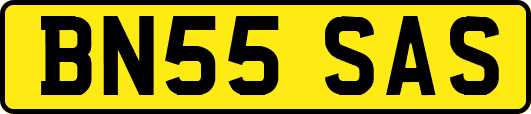 BN55SAS