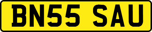 BN55SAU