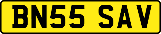 BN55SAV