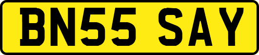 BN55SAY
