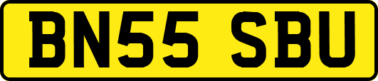 BN55SBU
