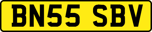 BN55SBV