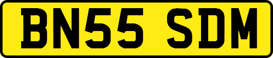 BN55SDM