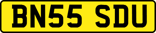 BN55SDU
