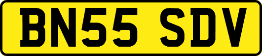 BN55SDV