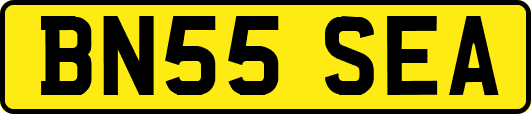 BN55SEA