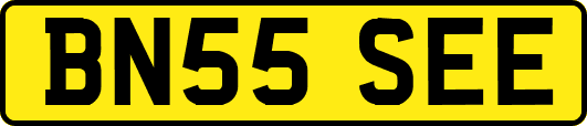 BN55SEE