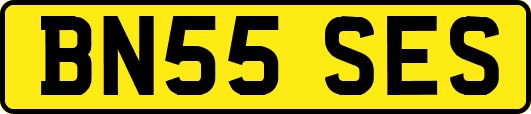 BN55SES