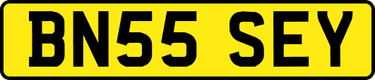 BN55SEY
