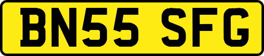 BN55SFG