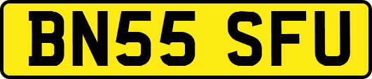 BN55SFU