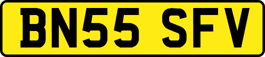 BN55SFV