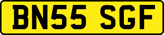BN55SGF
