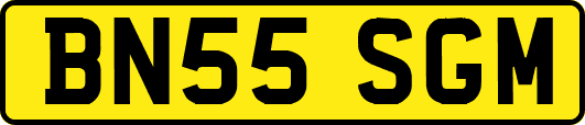 BN55SGM