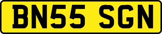 BN55SGN