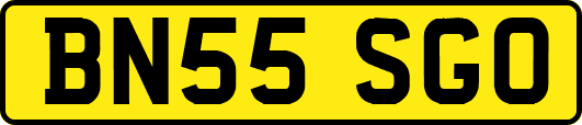 BN55SGO