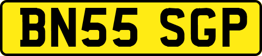 BN55SGP
