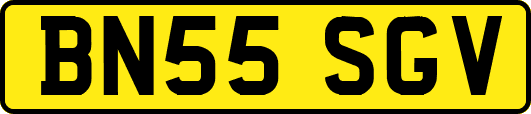 BN55SGV