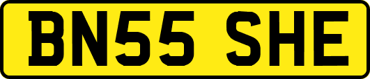 BN55SHE