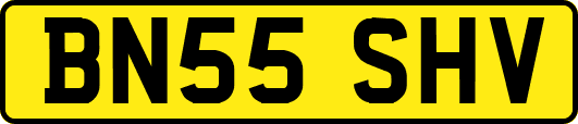 BN55SHV