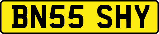 BN55SHY
