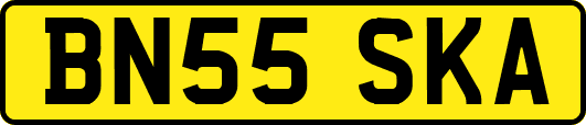 BN55SKA
