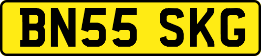 BN55SKG