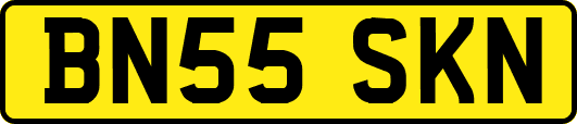 BN55SKN