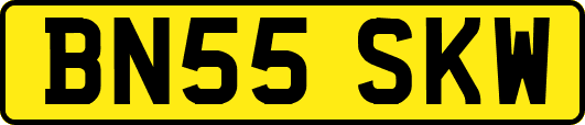 BN55SKW