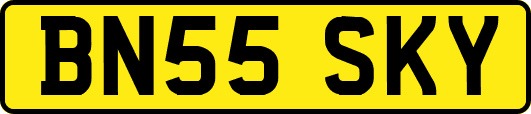 BN55SKY
