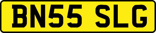 BN55SLG