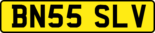 BN55SLV