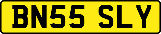 BN55SLY