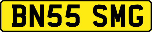 BN55SMG