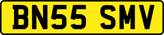 BN55SMV