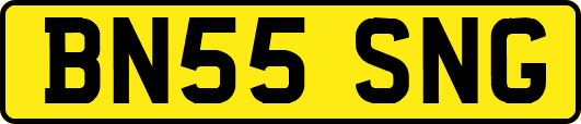 BN55SNG