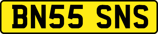 BN55SNS