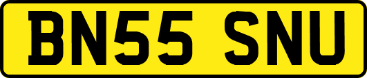 BN55SNU