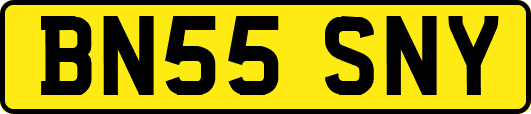 BN55SNY