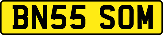BN55SOM