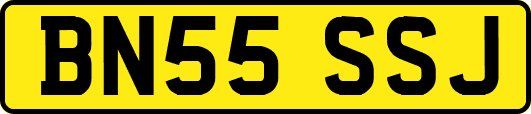 BN55SSJ