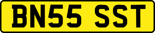 BN55SST