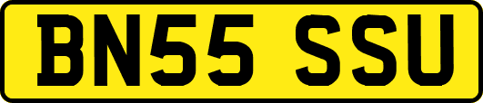 BN55SSU