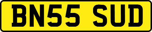 BN55SUD