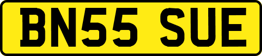 BN55SUE