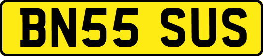 BN55SUS