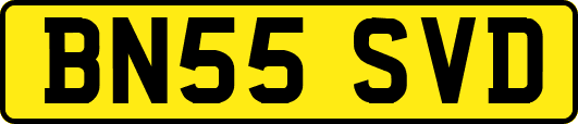 BN55SVD